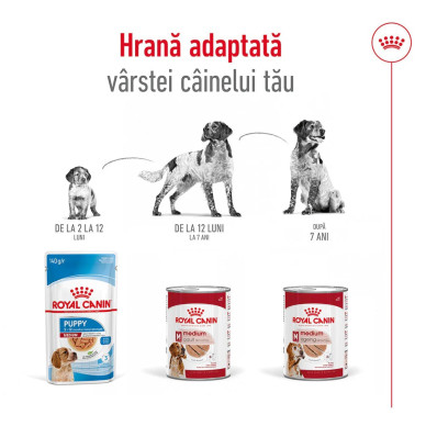 Royal Canin Medium Adult hrană umedă câine, pate, 410 g – nutriție completă pentru câini adulți de talie medie